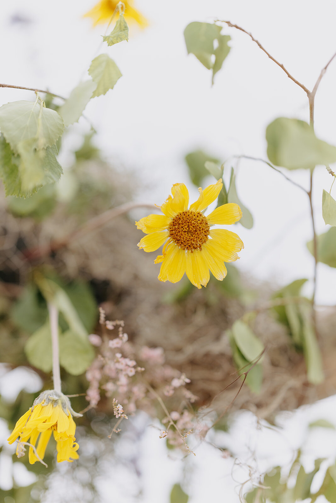 Summer-Wedding-In-Jackson-Hole-115