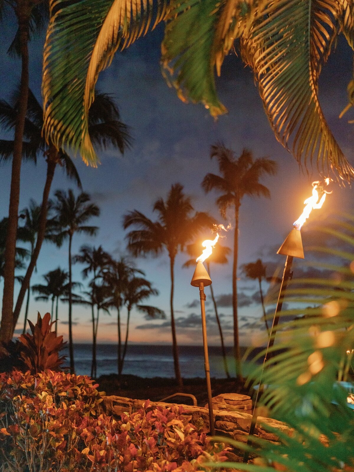 Samantha Aaron Judge Maui Wedding_Lauren Fair0122