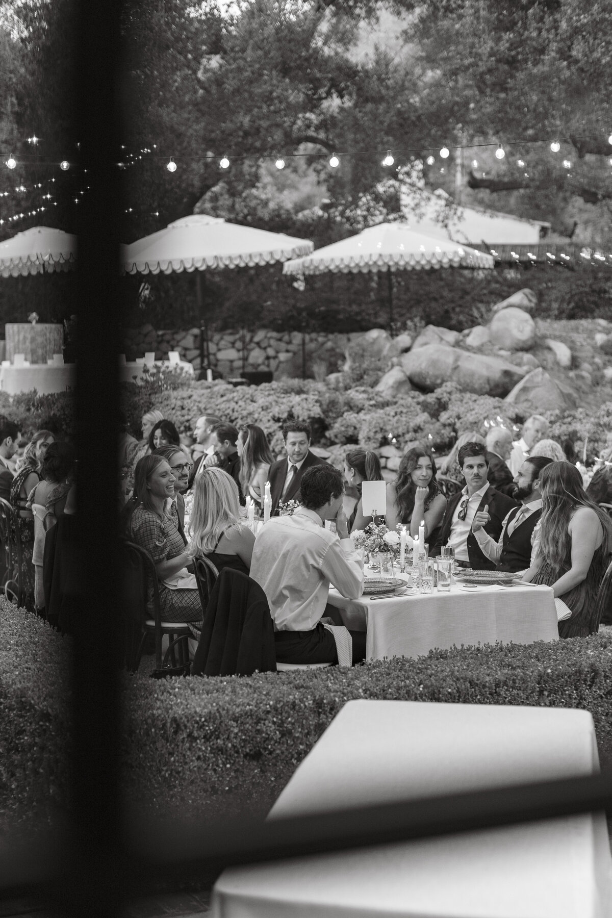W + D Dinner + Toasts October 19, 2024 29