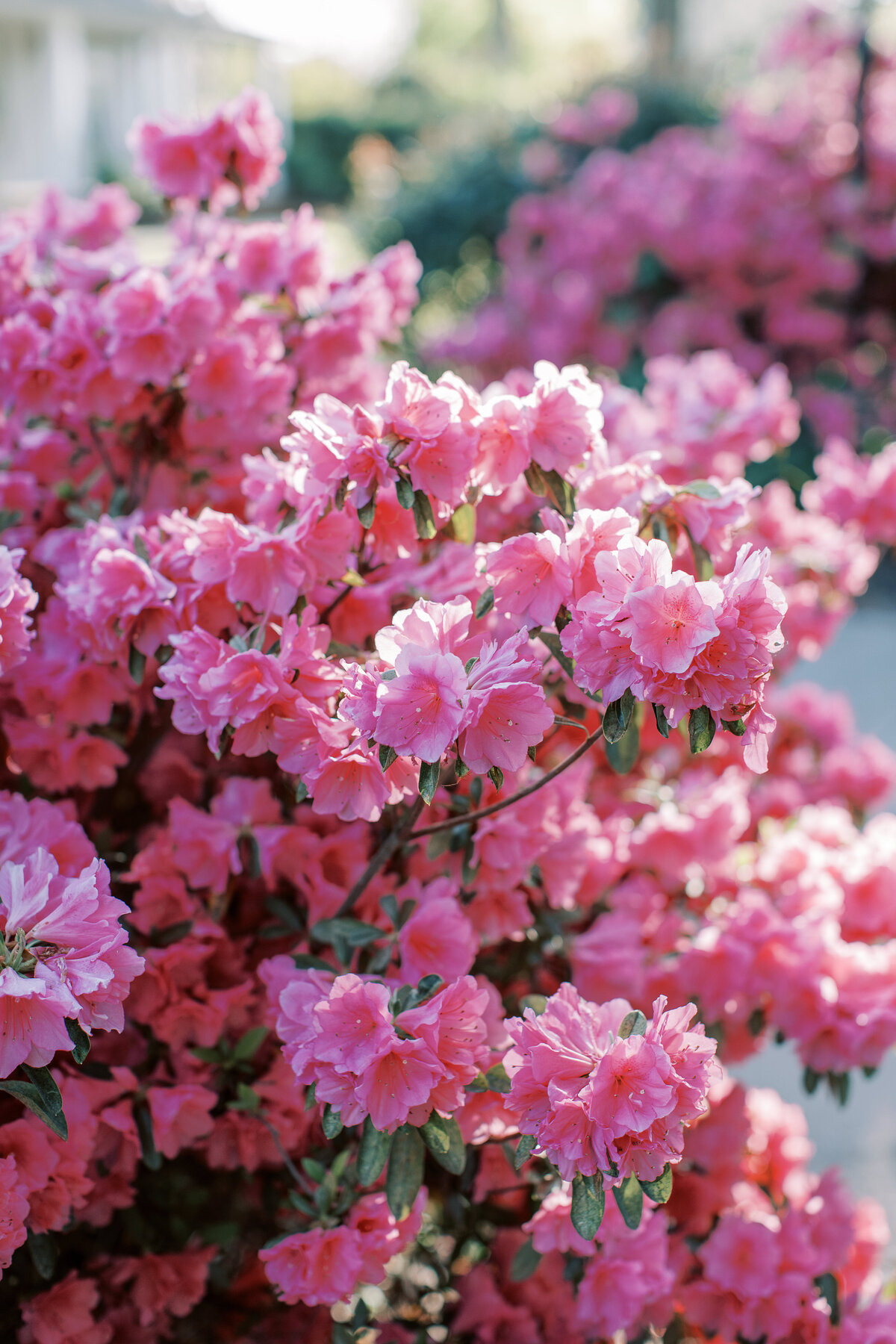 sarahfolsomphotography.thompsonhousestyledshoot.reception-60