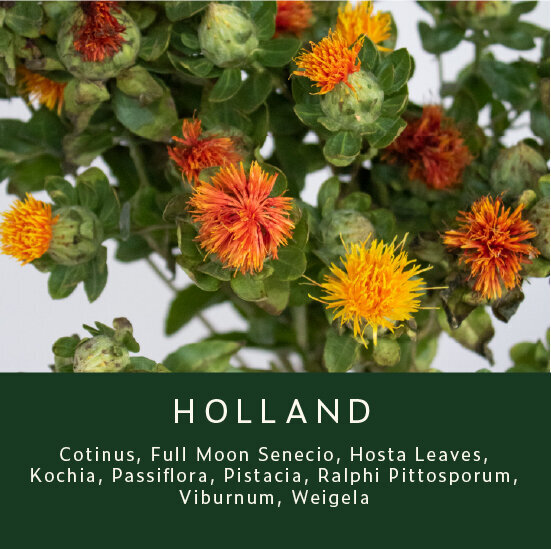 Greenery-Holland