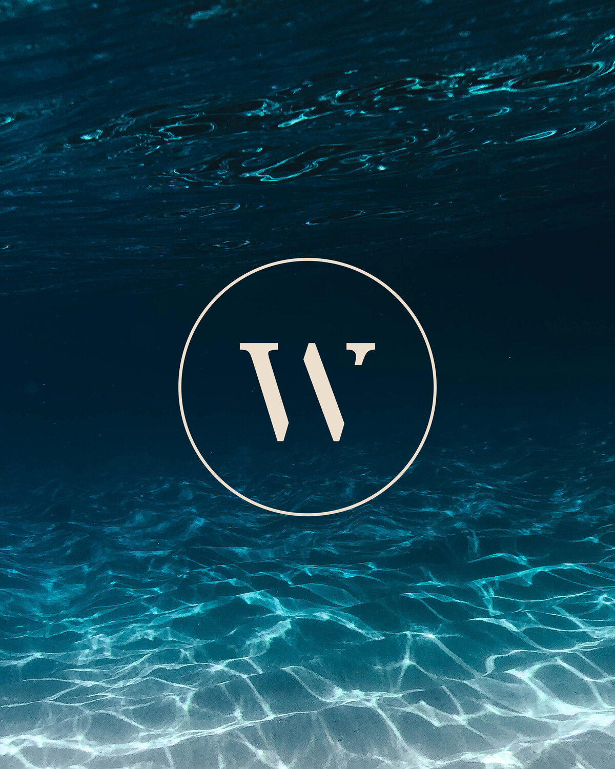 Logos_6
