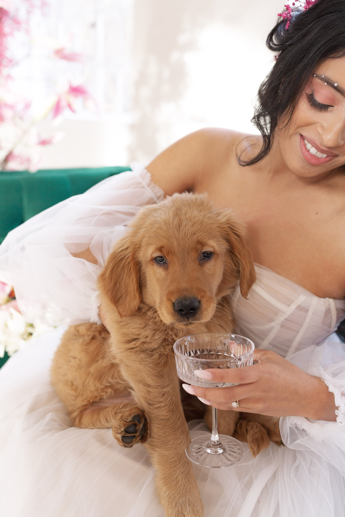 bride with puppy and martini glass