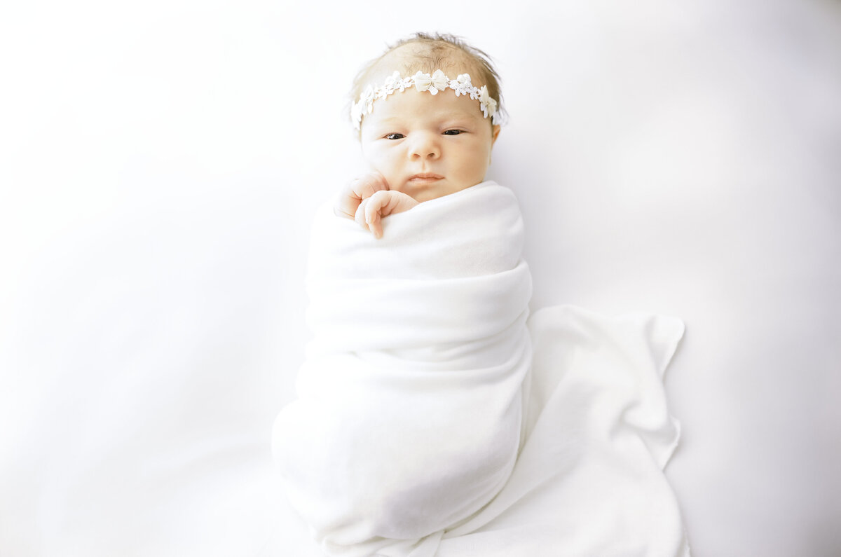 Bridges Baby Five UPDATED
