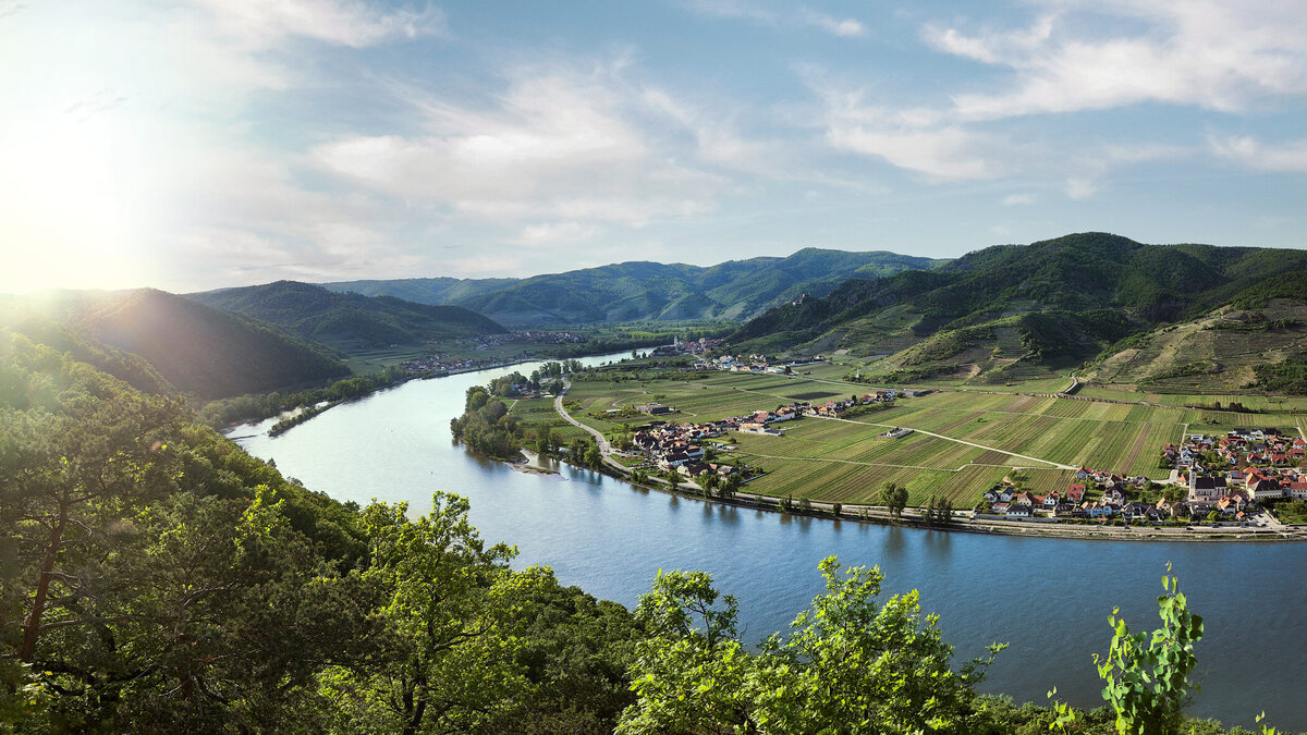 Weinberge und Donau im Abendlicht mit Blick auf die Wachau – atmosphärische Sommerstimmung für Werbung und Tourismus