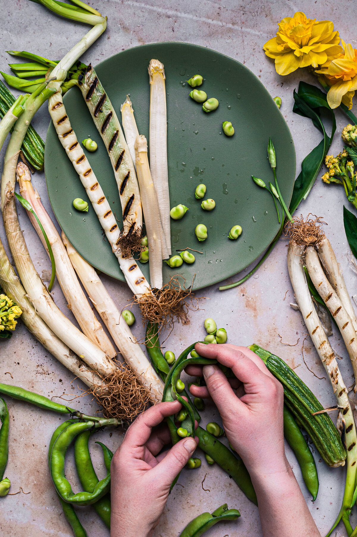 spring produce white asparagus handin frame process shot food photography