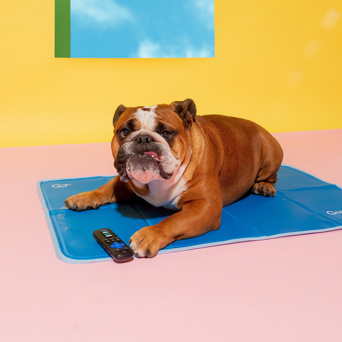 GreenPetcoolingpads_-24