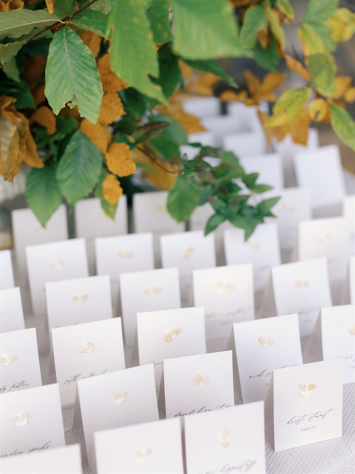 The Beauchamp Wedding - Morgan Smythe Knoxville Wedding Photographer-264