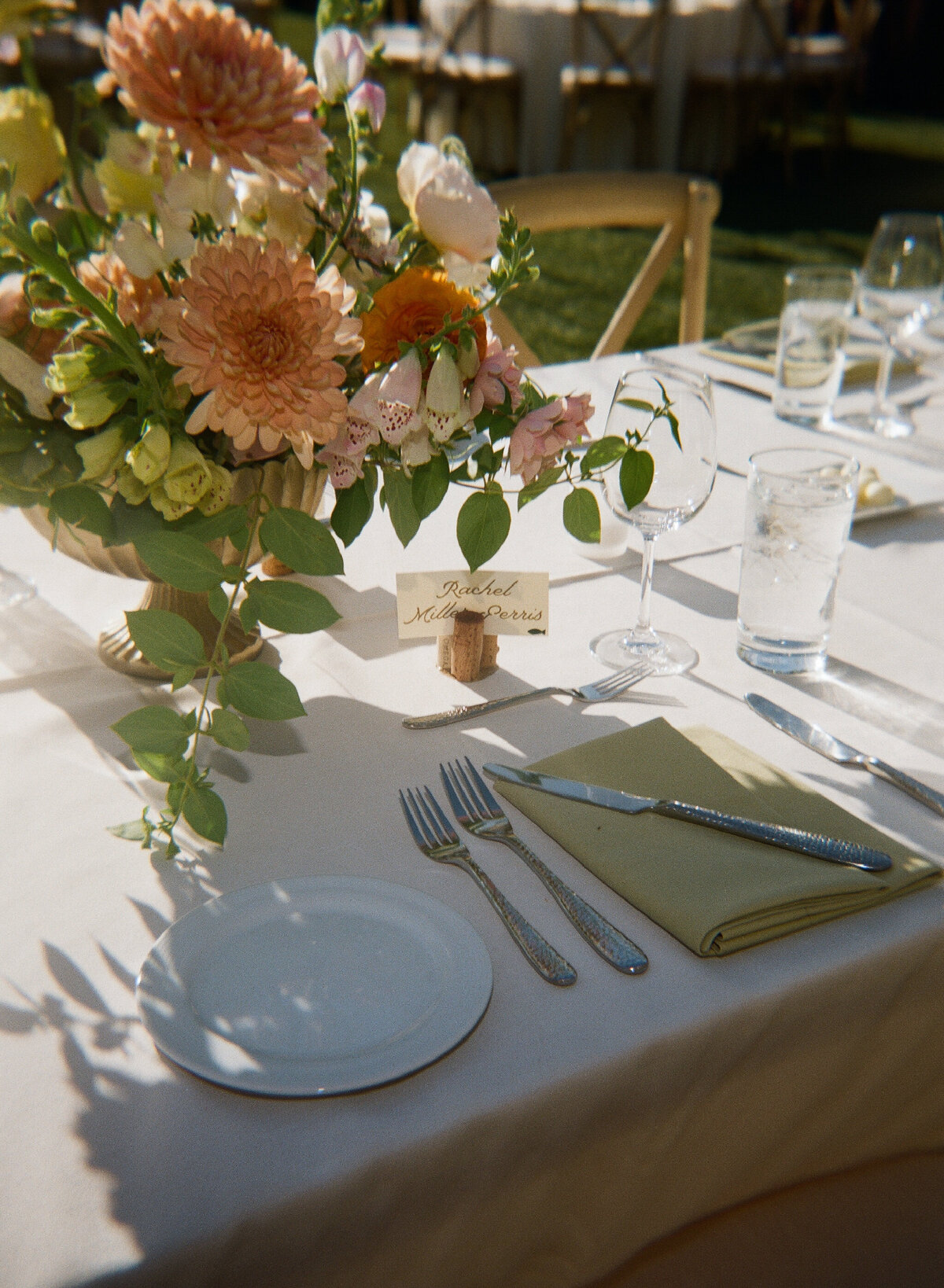 tori-dermott-172 (1)