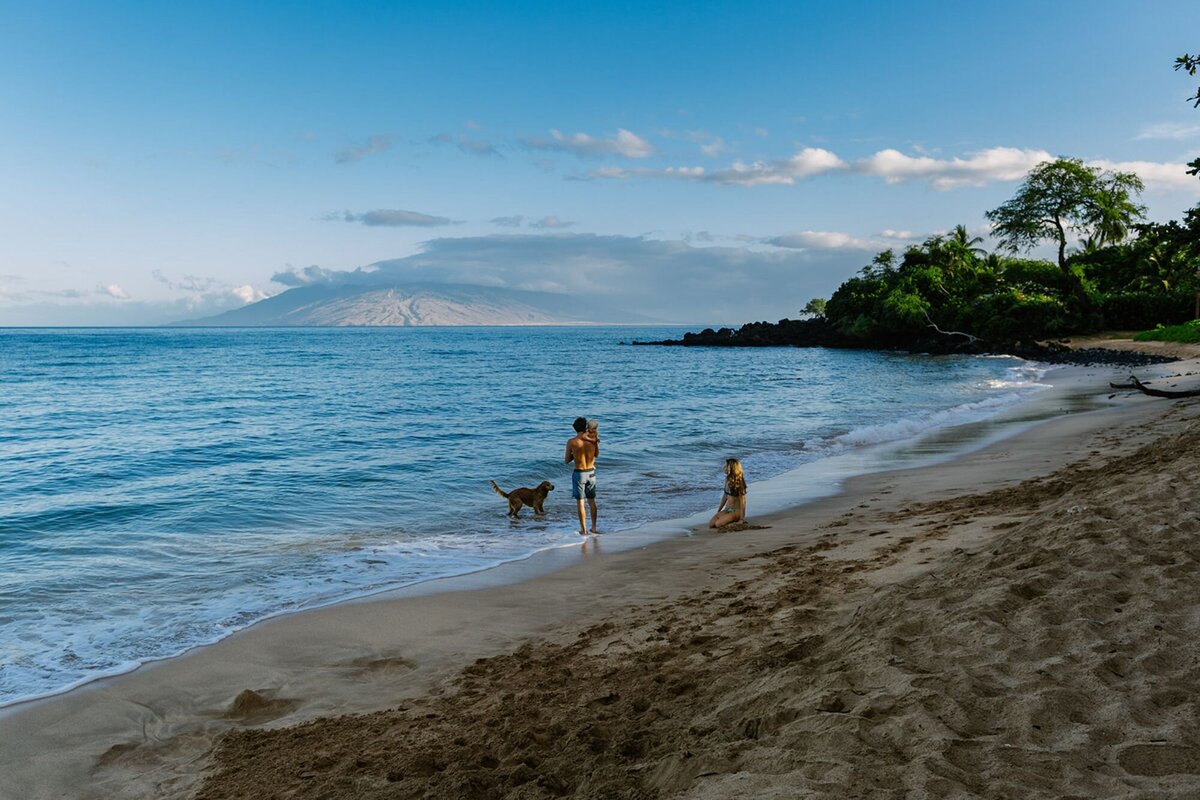 A family plays along the beach with their dog and baby.