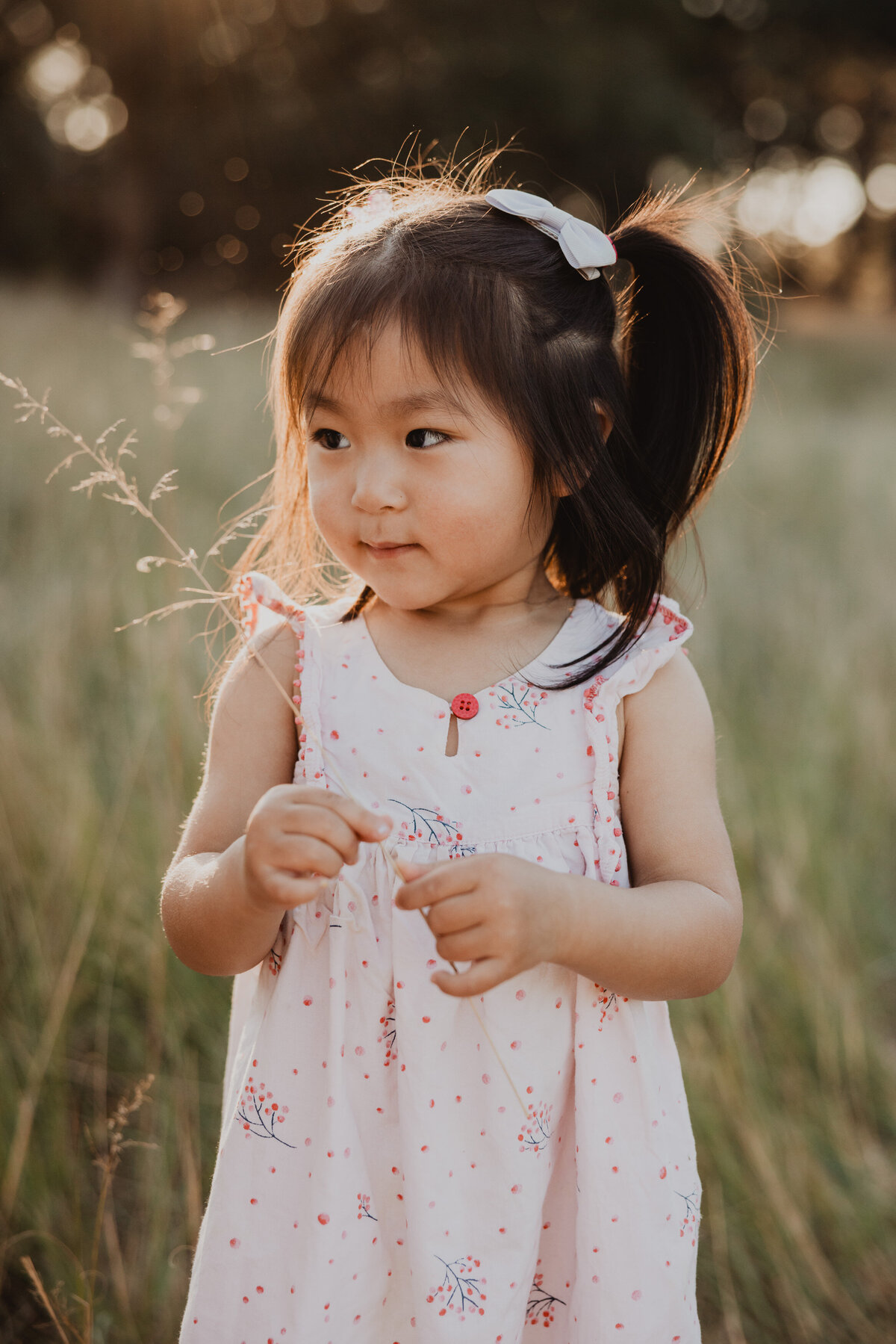 lauren-gray-sydney-family-photographer-230917-0186