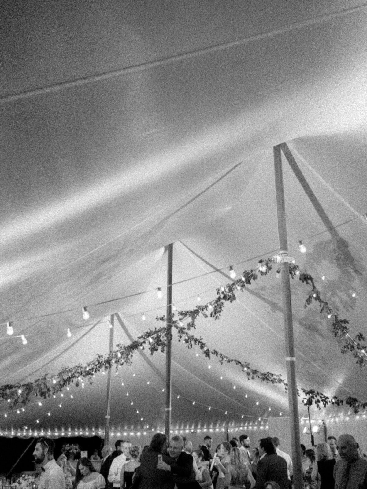 Virginia Wedding Photographer Natalie Jayne Photography-05298