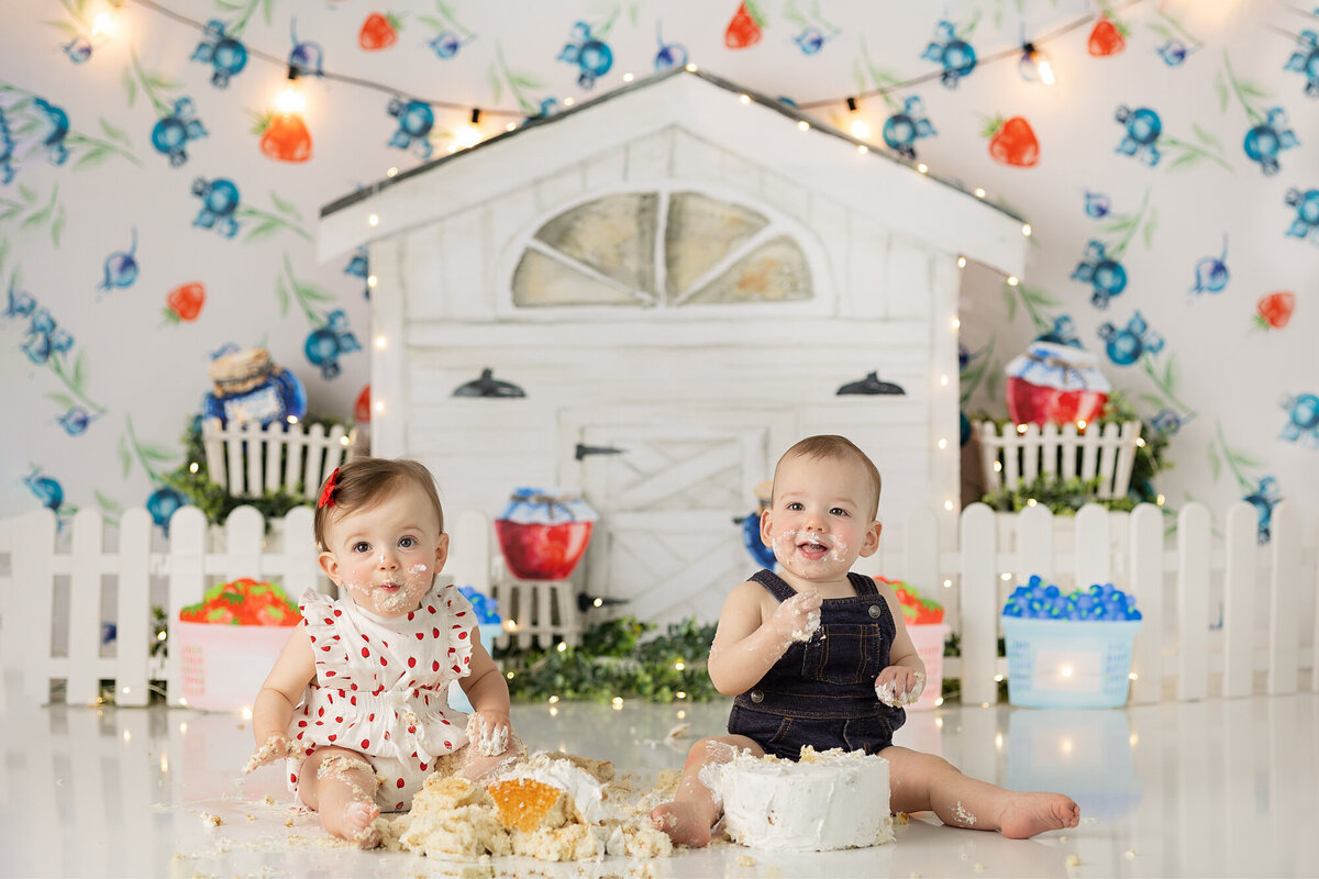 columbus-dayton-ohio-cake-smash-photographer-first-birthday-twins-boy-girl-my-berry-first-birthday-theme