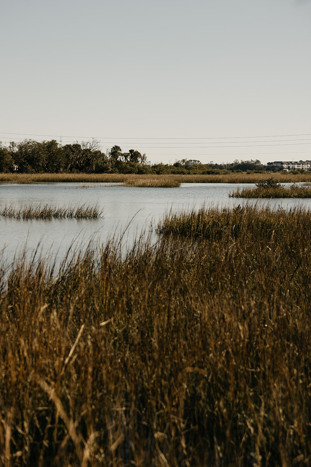Wedding Planner in St. Augustine_Wearethebowsers-125