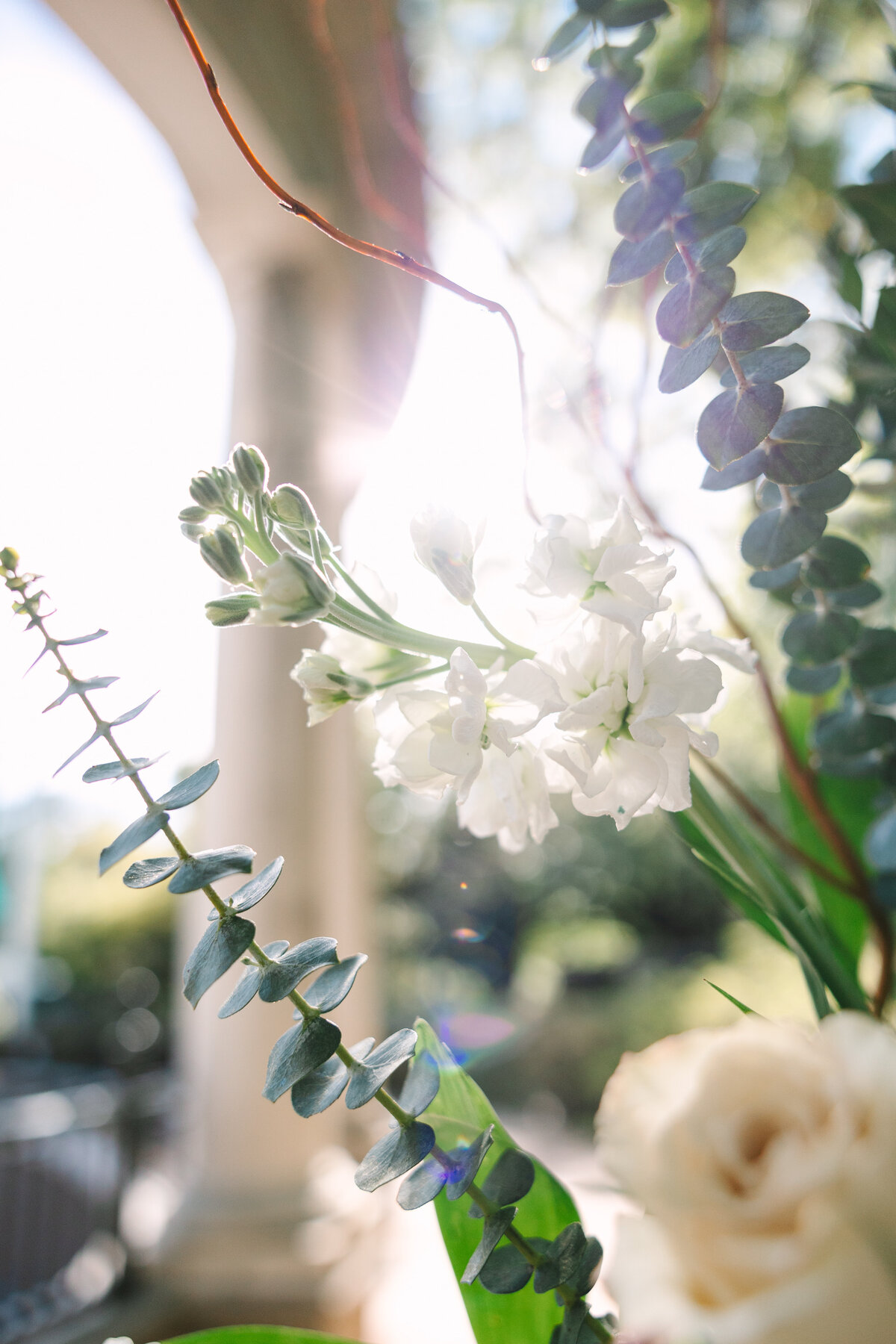 New Orleans Wedding Photographer
