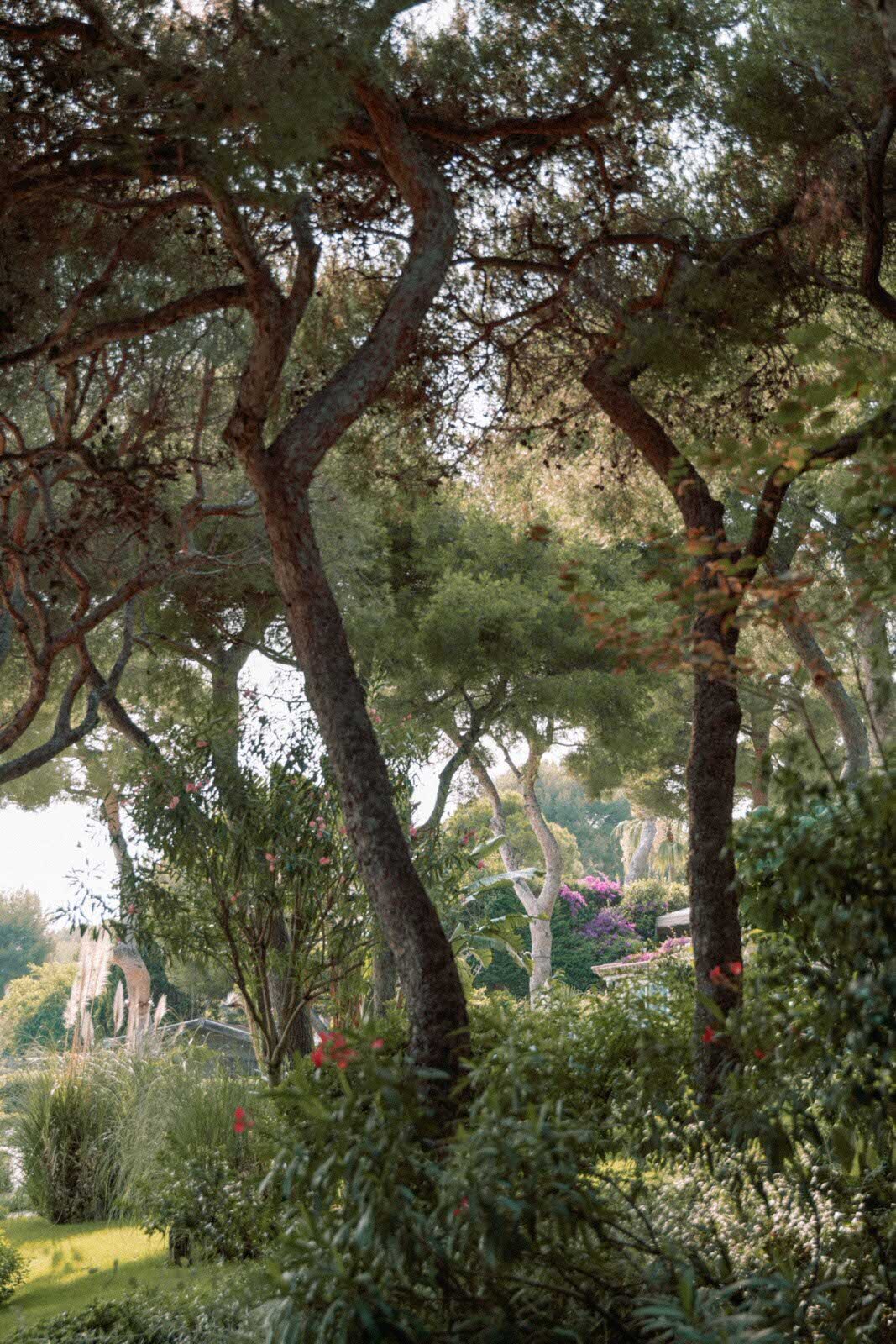 FloraAndGrace_FrenchRiviera_Editorial_WeddingPhotographer (1 von 1)-45