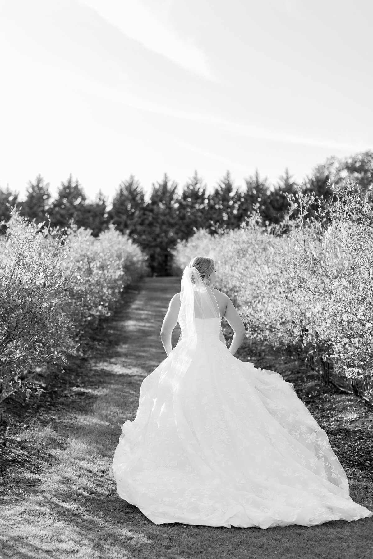 Morales_Wedding_Post_Portraits-3579-2