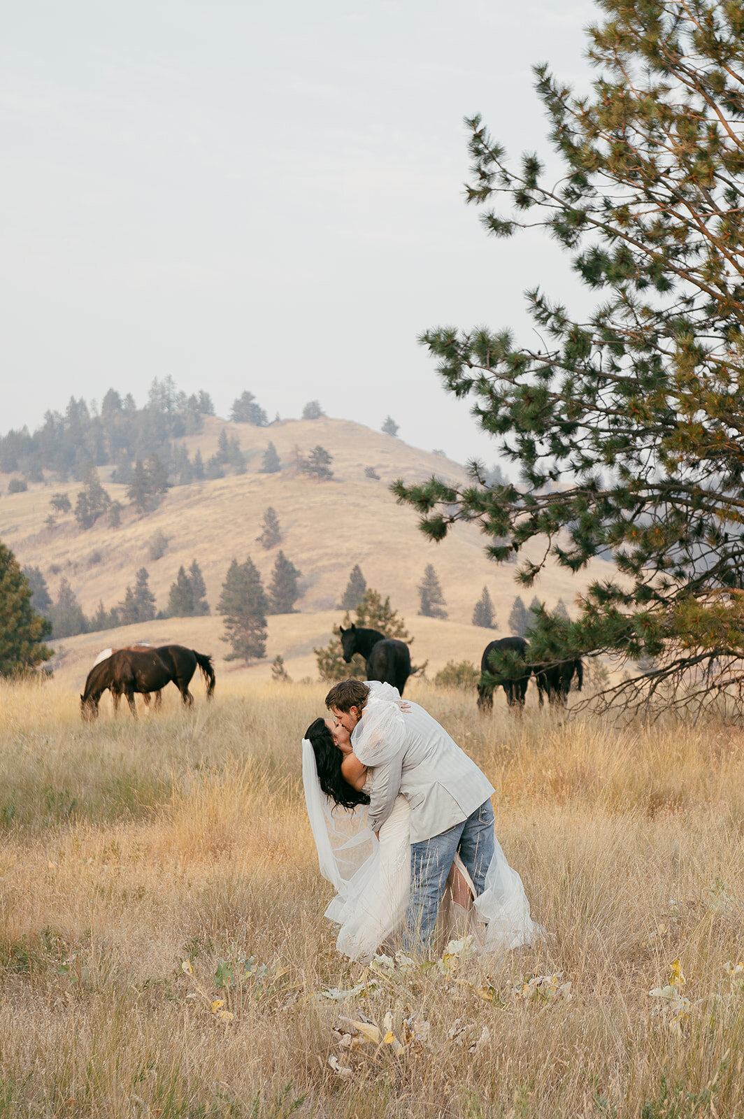presley-gray-photo-wild-horse-montana-elopement-0152