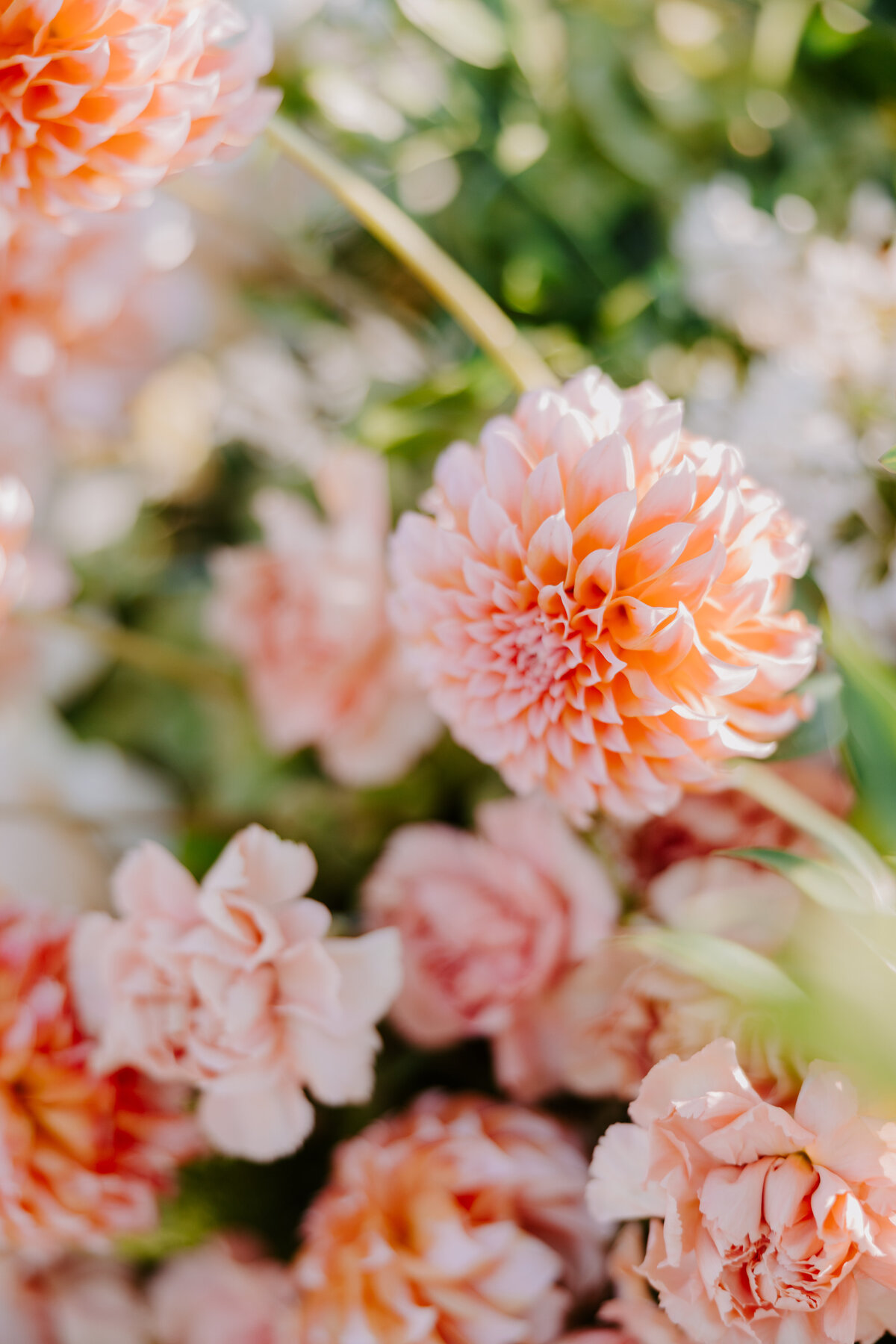 Oregon Styled Shoot2