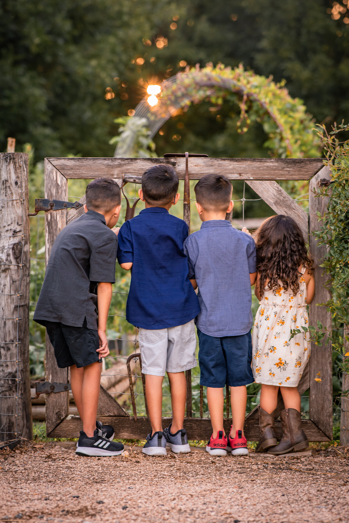 Susan Del Broccolo Photography is a Houston Lifestyle Photographer based in the Houston area specializing in Equine, Senior Graduate, Families & More