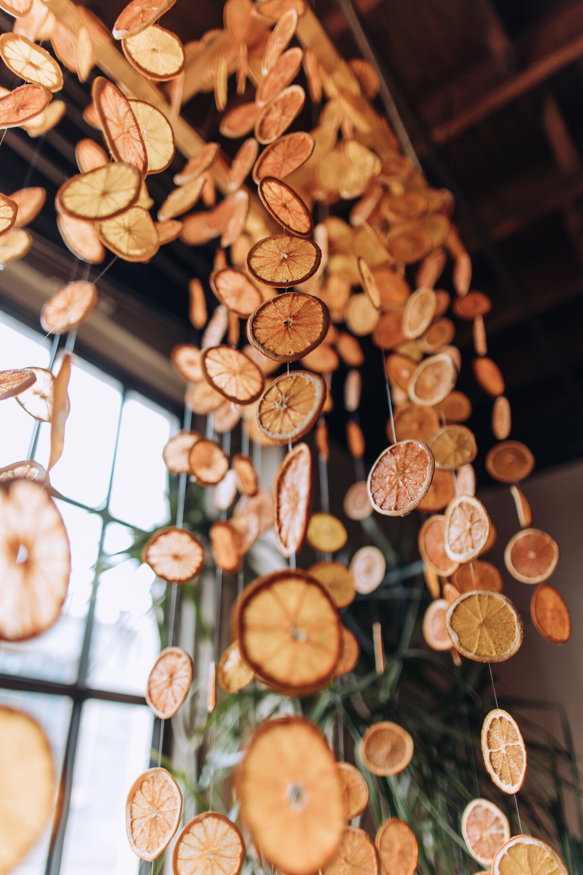 dried citrus chandelier, hanging citrus installation, studio fleurette