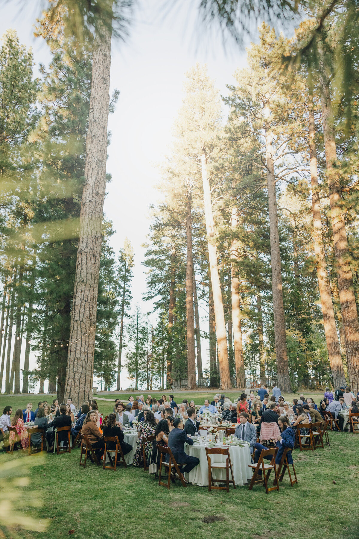 Abby + Mitch Valhalla Wedding Lake Tahoe _ Katherine Krakowski Lake Tahoe Reno Photographer-236