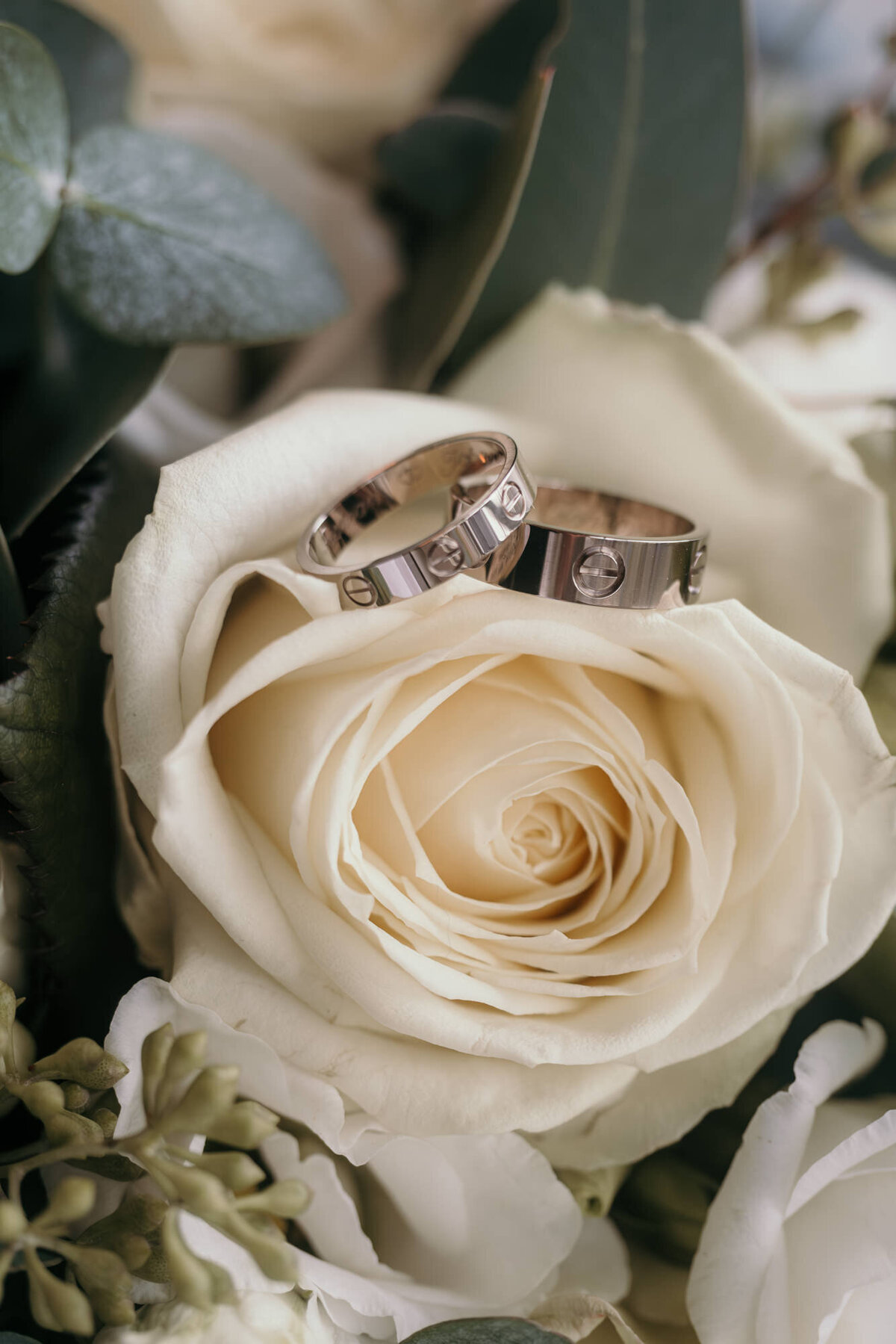 Deatilshot of the wedding rings arranged on a beige rose.