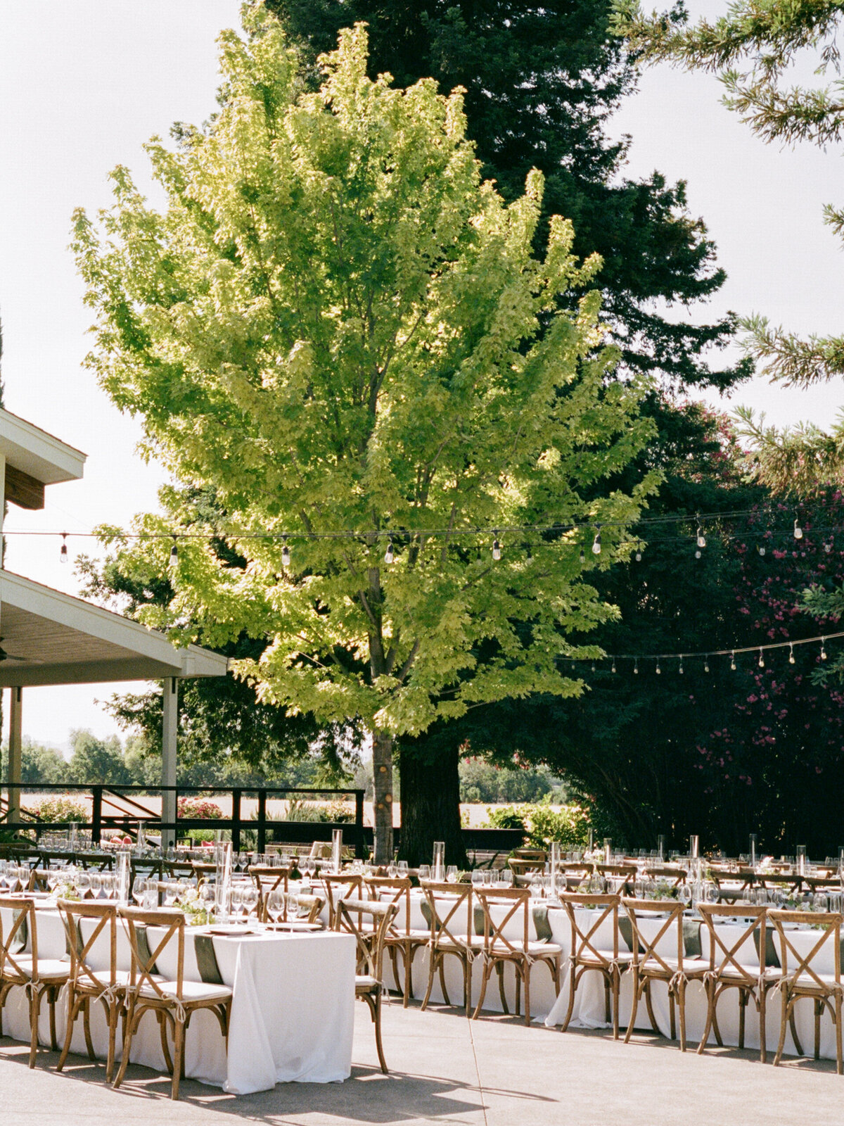 Bethany+KevinCaliforniaParkWintersWeddingCassieValentePhotography0637