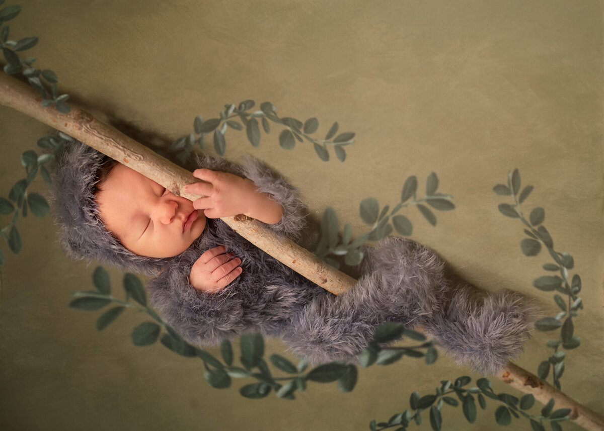 Newborn dressed as a sloth with soft greenery, captured in Overland Park, Kansas. A charming option for families seeking whimsical and creative newborn photography in the Kansas City area