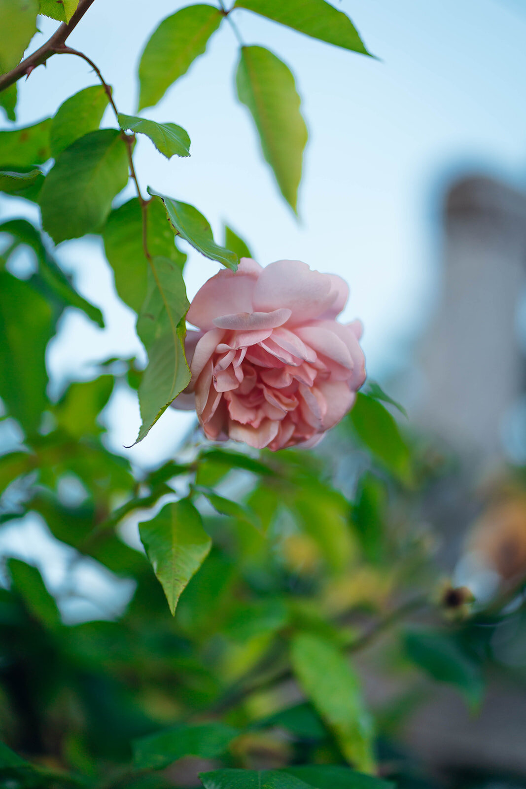 Mike_Elissa_EmilyCollettPhotography0818
