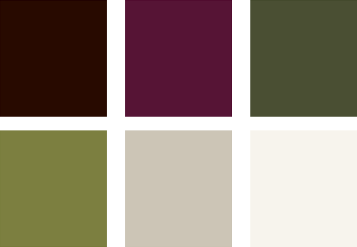 Asset 41