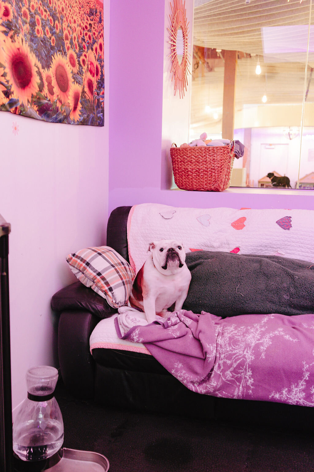 05.14hillfamilypetcare-69