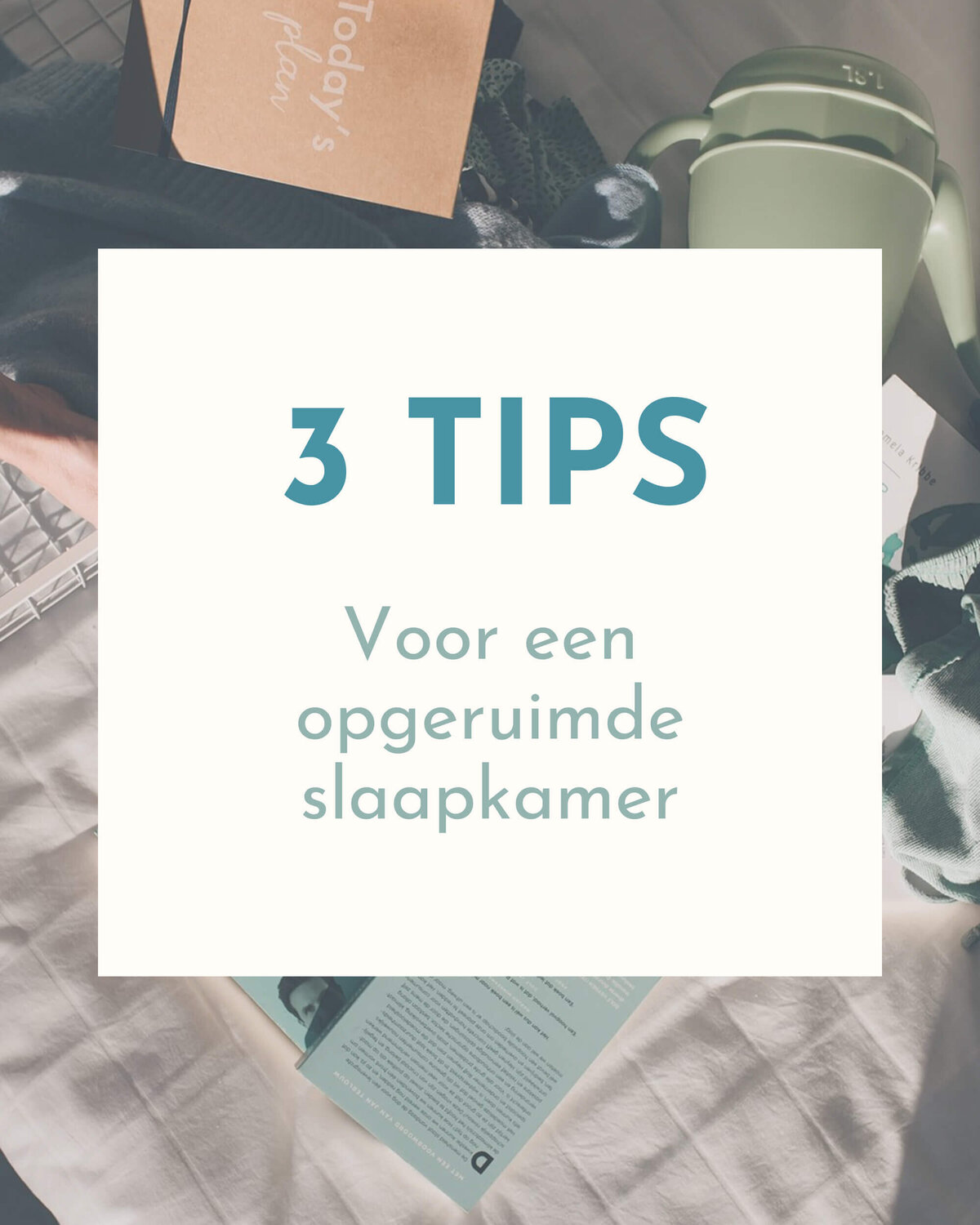 Studio Paoline Kruijssen - portfolio vormgeving - social media templates canva - Firma Opgeruimd - 5