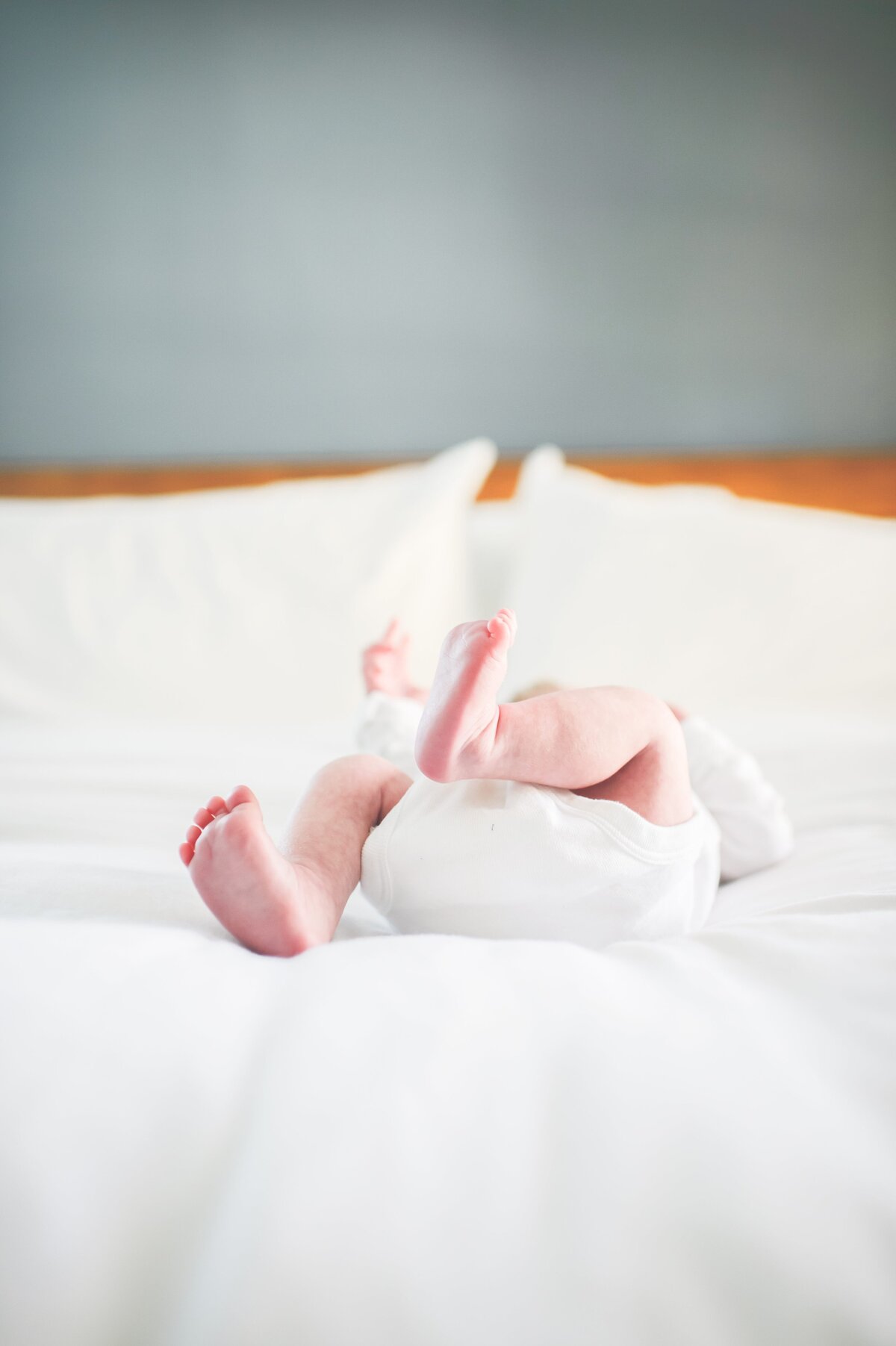 Newborn-Colleen-Putman-Photography-40