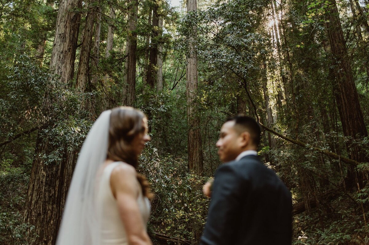 Screenshot 2025-02-21 at 4.20.52 PM