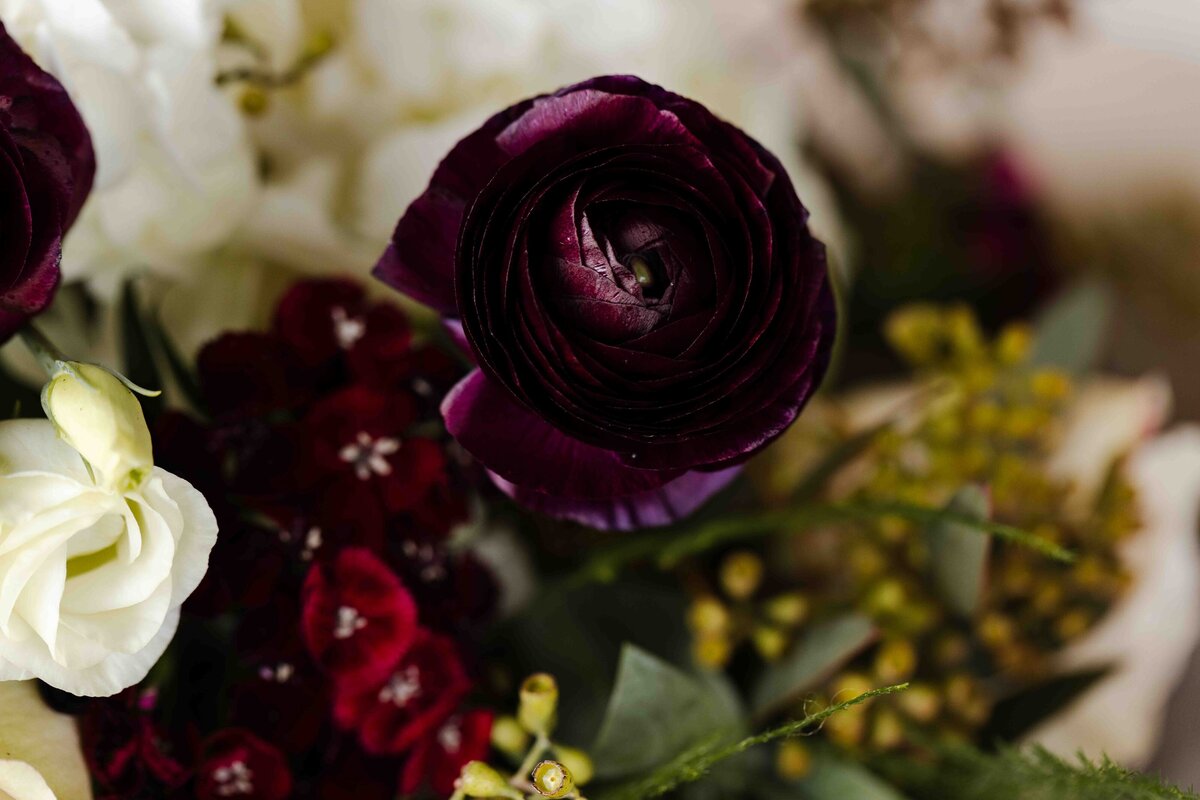 RoperaPhotography46