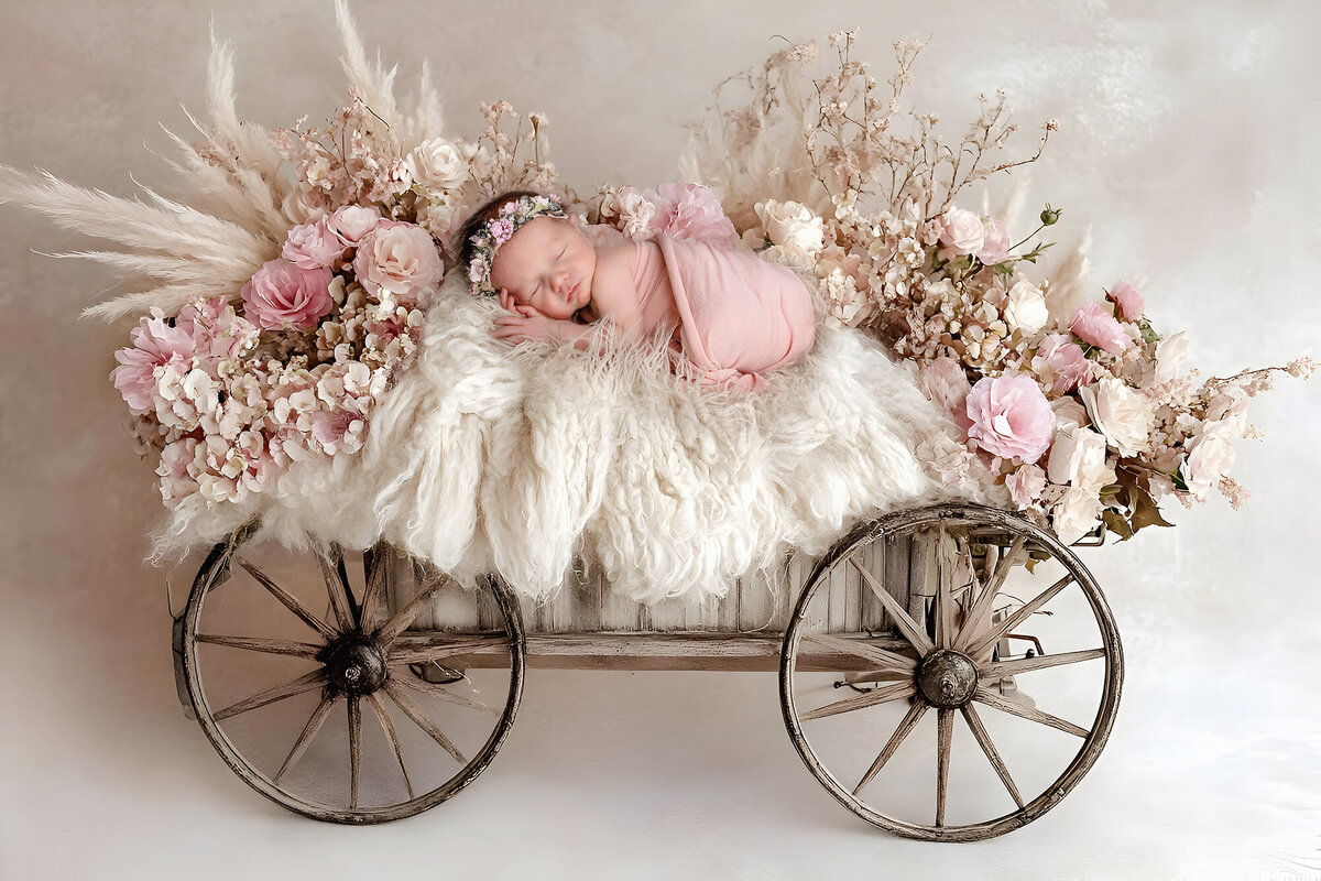 A baby sits in a rustic wooden wagon filled with soft white fluff, surrounded by delicate pink flowers.