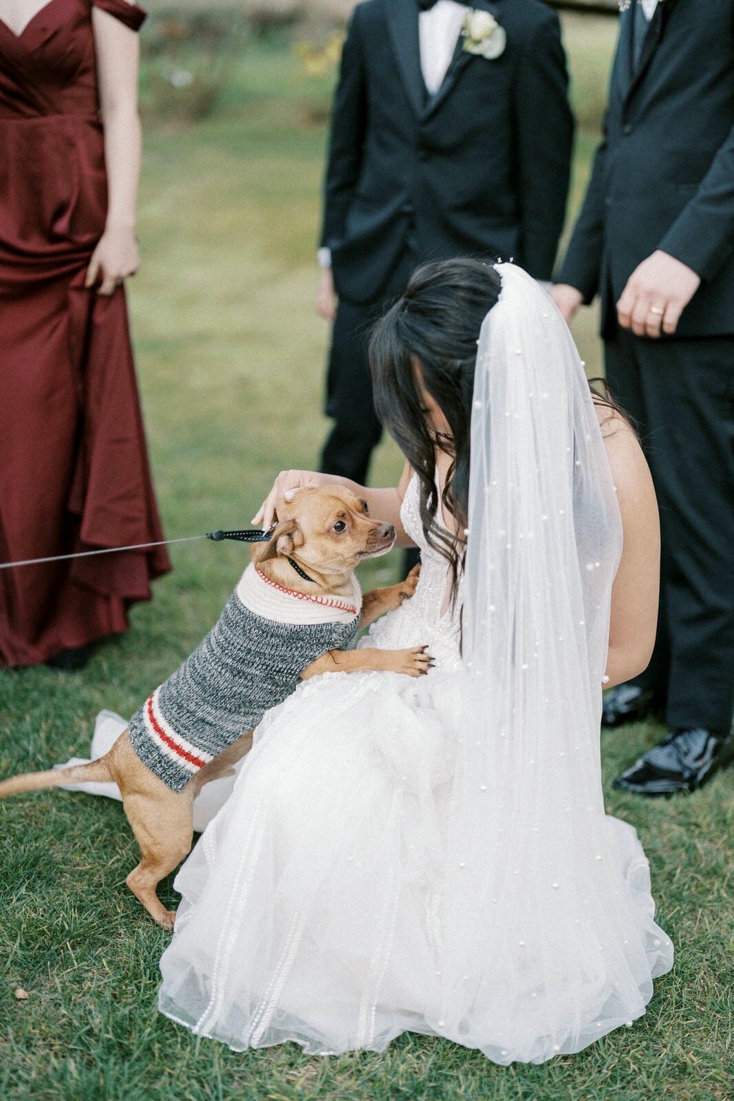 W11-Wedding-Photos-Caledon-Valley-Estate-Eleanor-and-Michael-2024-11-02-2500px-1164