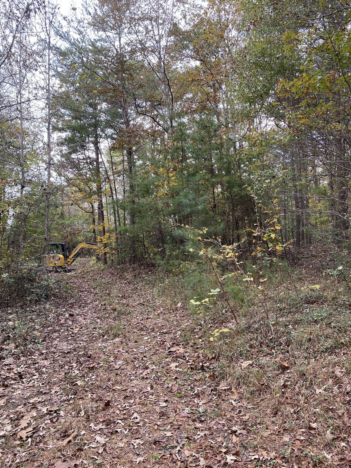 excavator-clearing-path-in-woods-during-fall