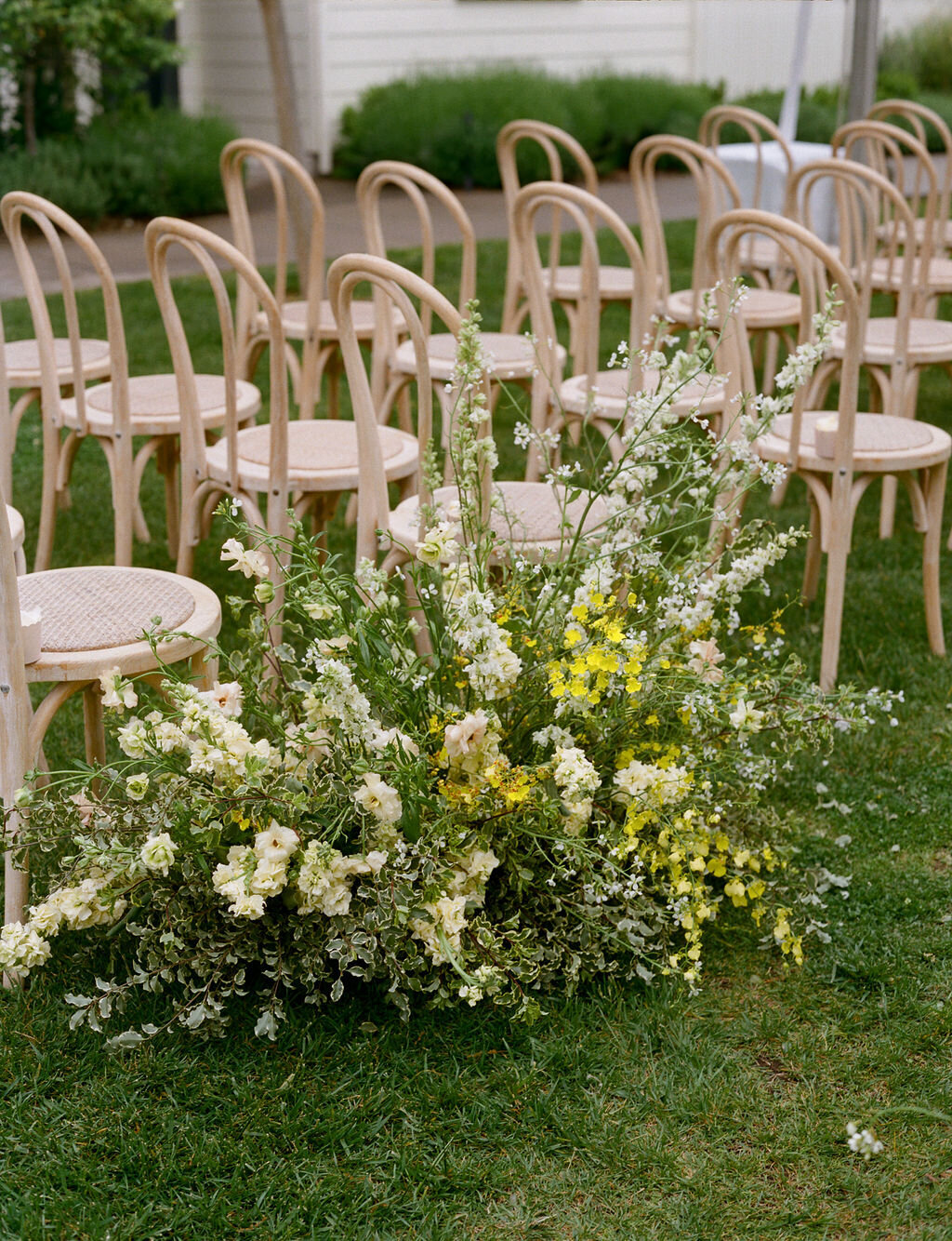 AnnaCalvin-Wed2025-498