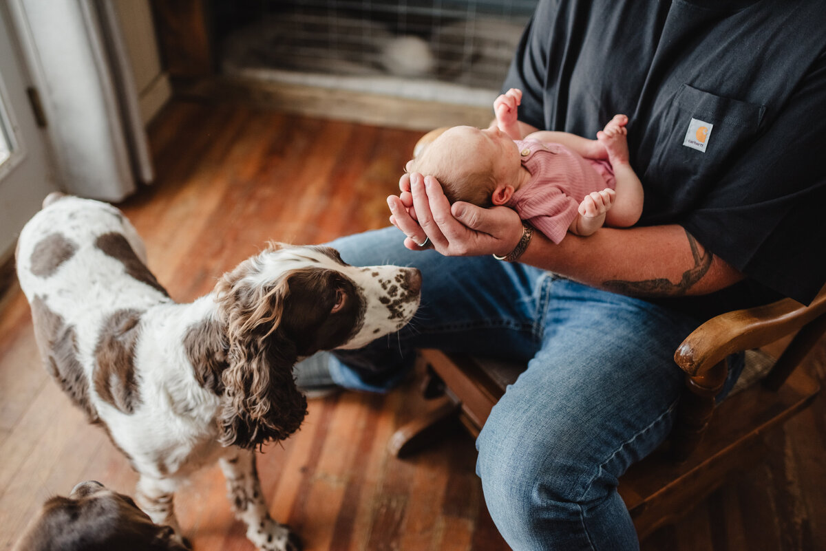 dog and infant portrait ideas lifestyle