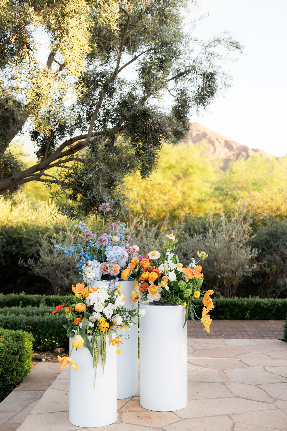 wedding-at-elchorro-scottsdale-joy-and-ben-photography-1672