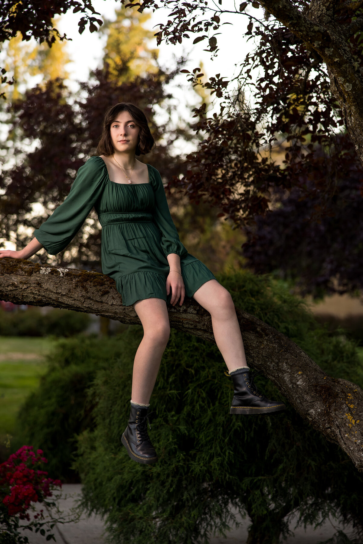 portrait-senior-highschool-tree-coeur-dalene