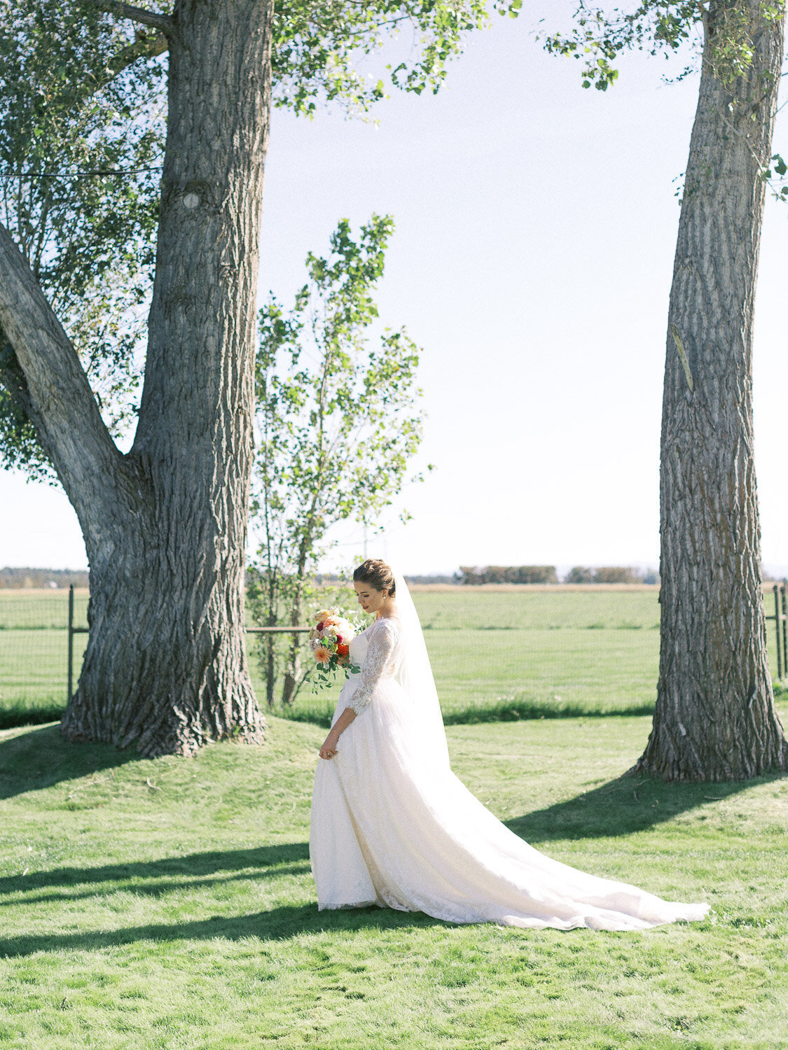 Wedding-photographer-ashley-cook-photography-20