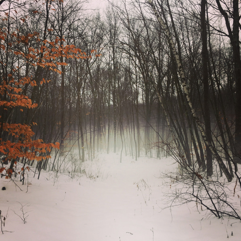 fogsnow