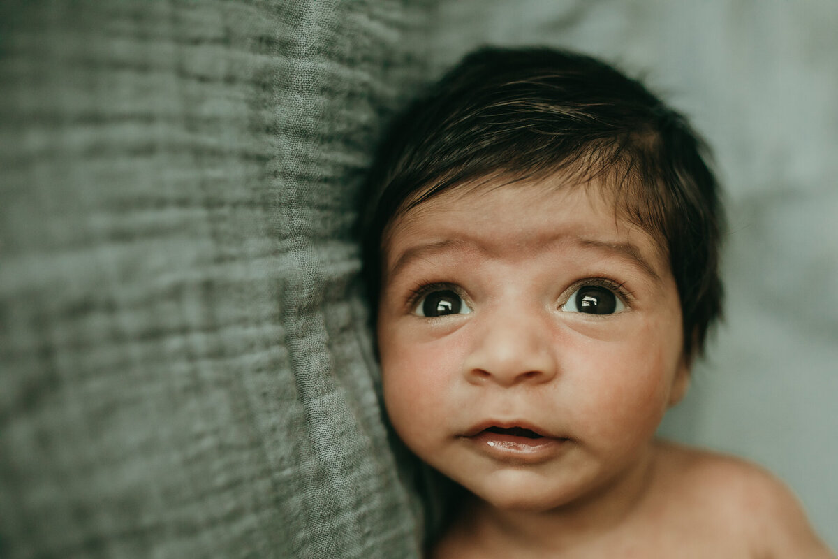 Ashley Kaplan Photography San Francisco Bay Area Family Newborn Maternity Photographer-2202