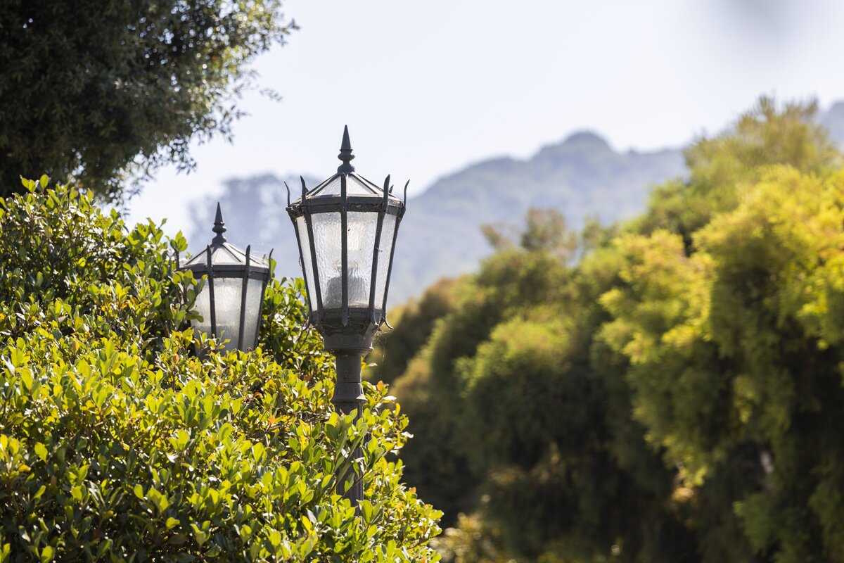 Street Lights in Downtown Los Gatos Charlene Bernhardt