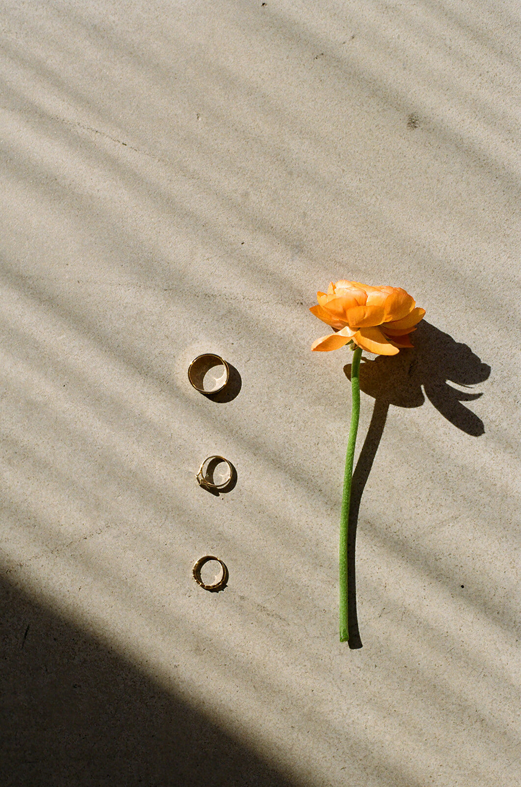 Winnipeg-Film-Photographer-14