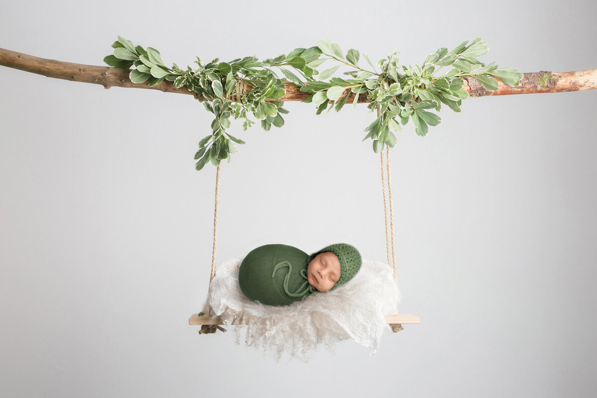 Edmonton Newborn Photography flower green vine baby swing