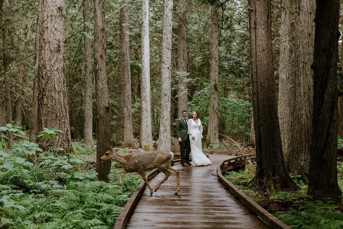 Megan&Aaron Preiviews-68